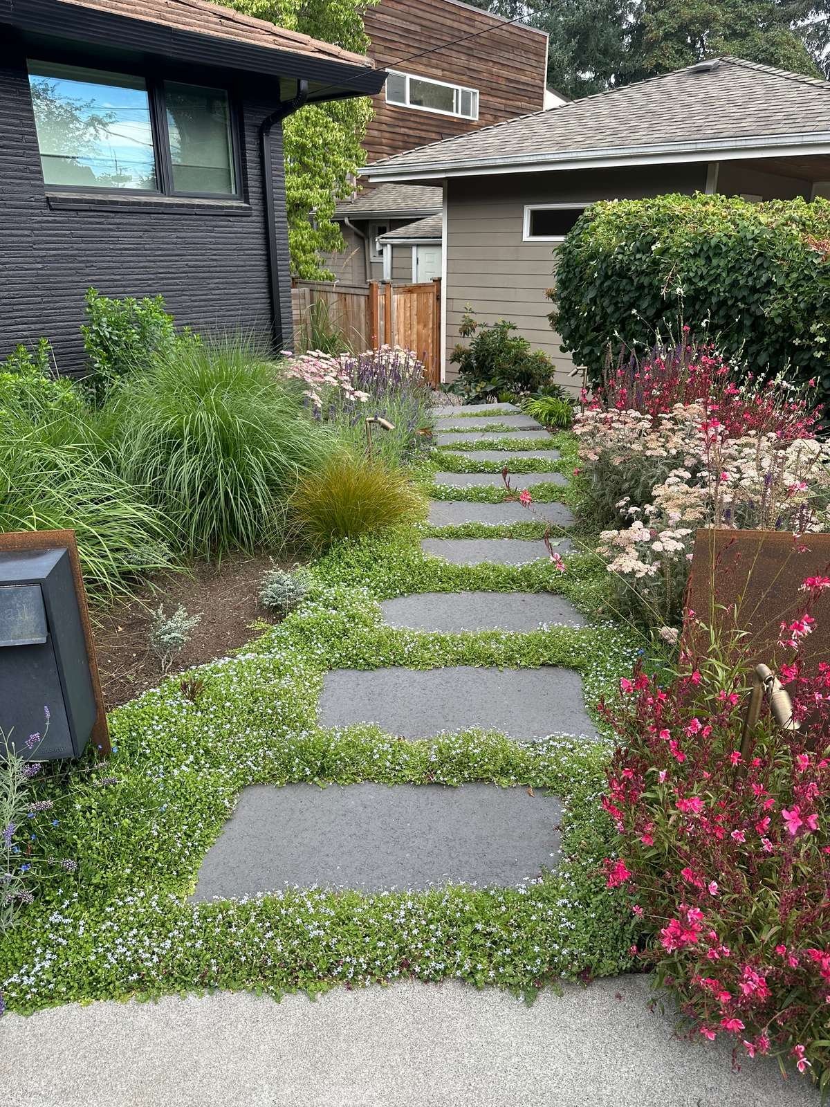struver-bluestone-stepping-stone-path-groundcover-seattle.jpg