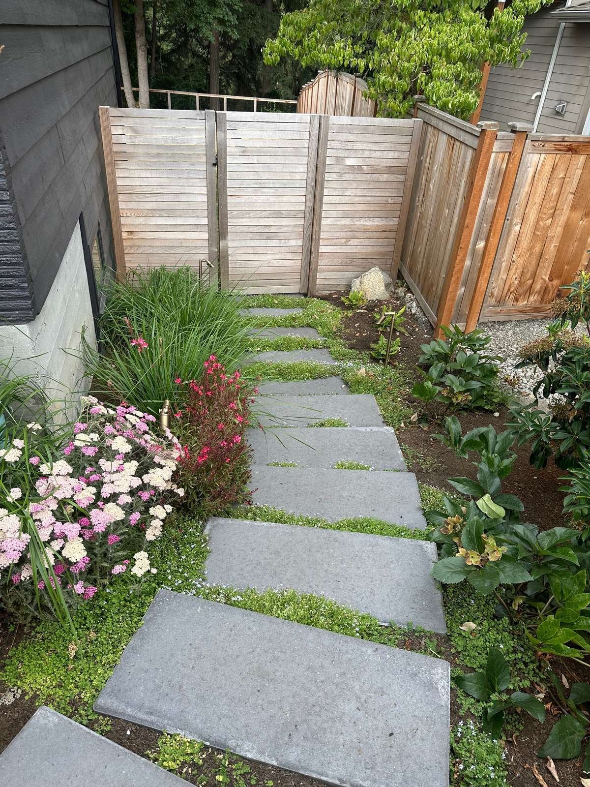 struver-stepping-stone-path-side-yard-groundcover.jpg