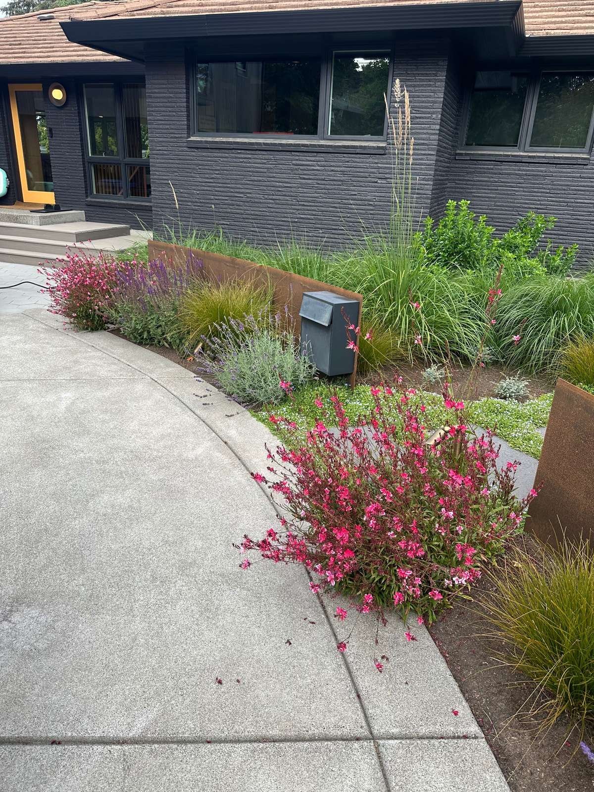 struver-modern-front-yard-landscape-design-seattle.jpg