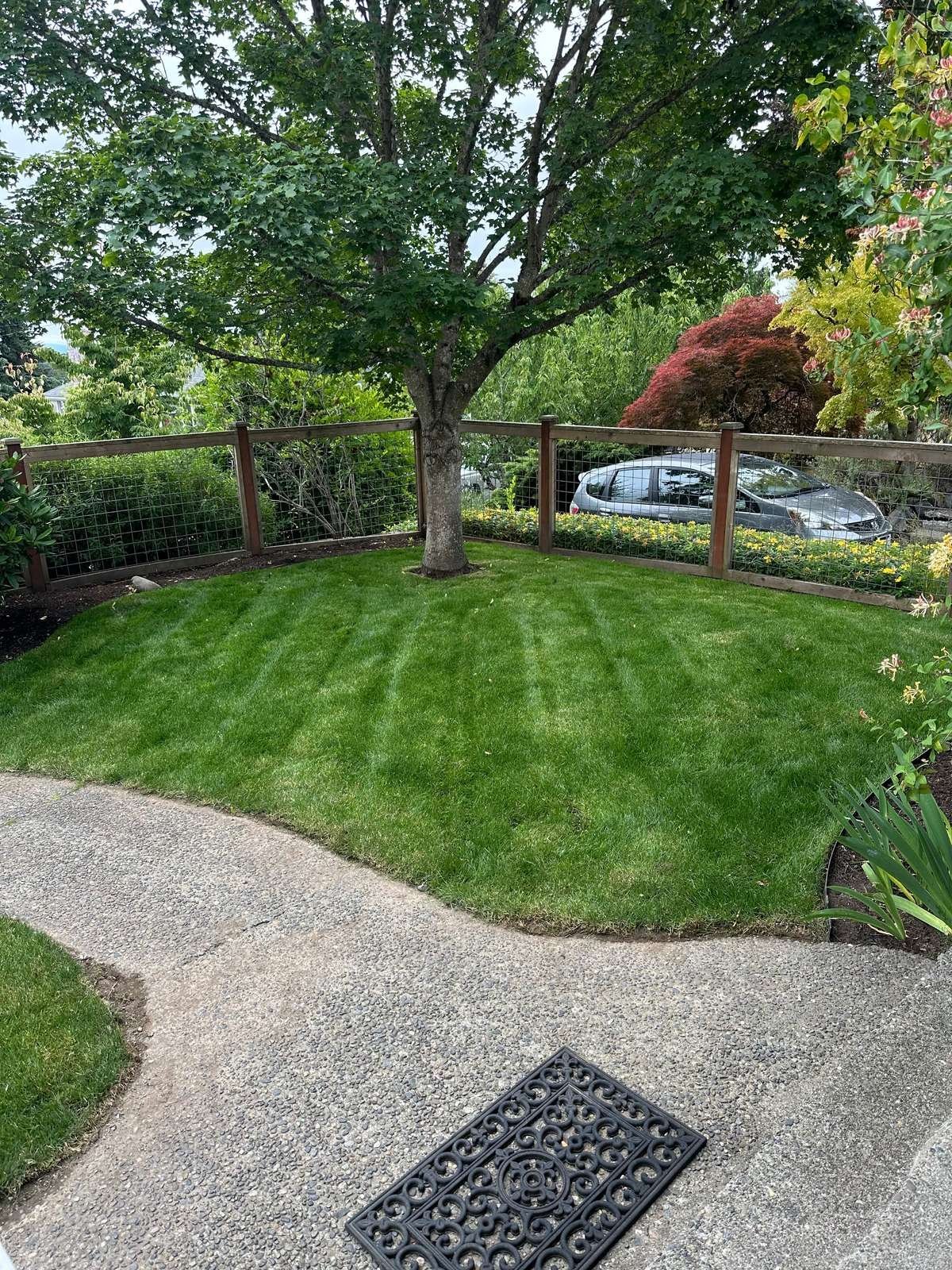 Struver-maintained backyard with a freshly mown striped lawn, mature trees, ornamental shrubs and a perimeter wood-and-wire fence