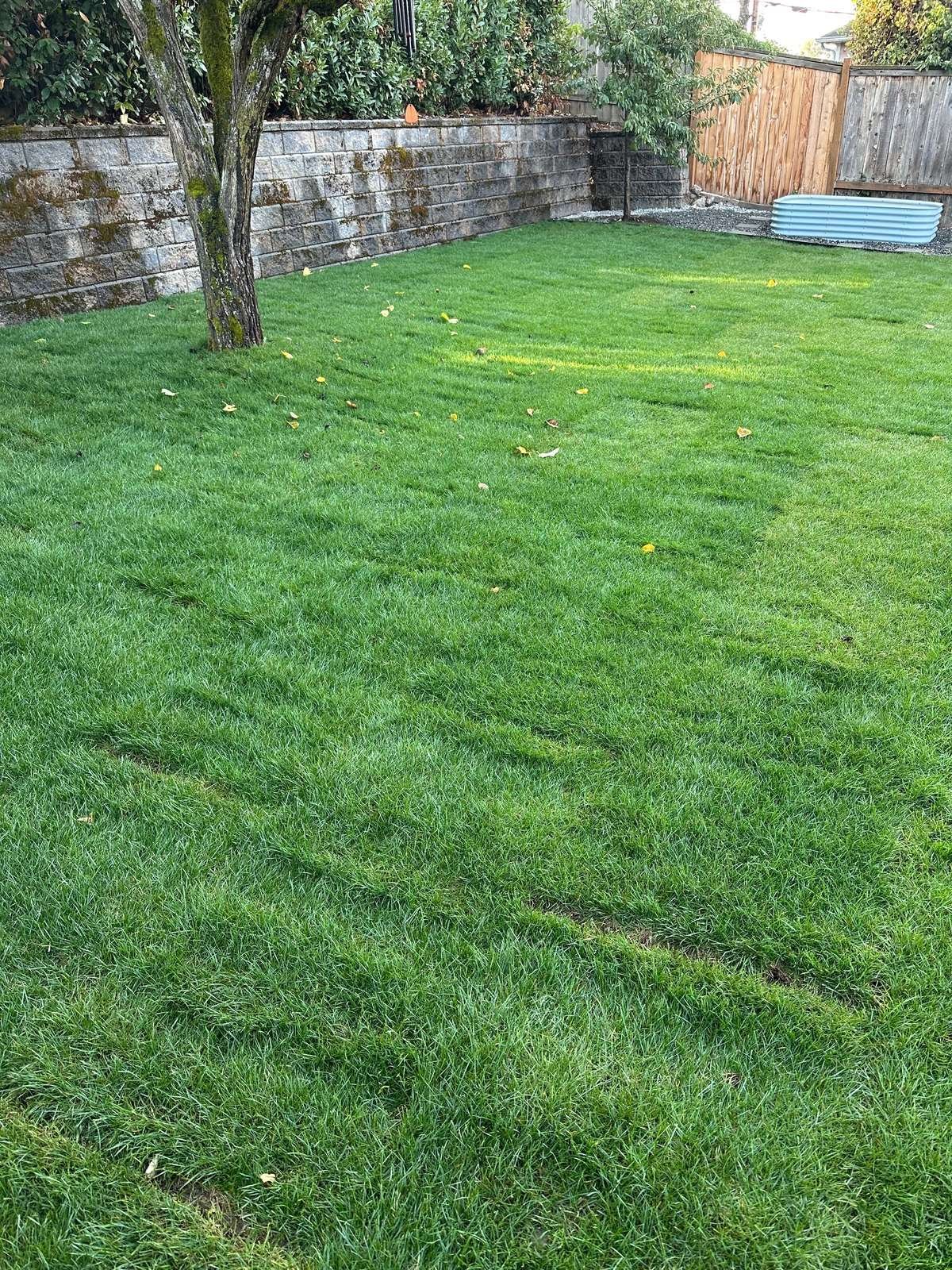 struver-backyard-lawn-block-retaining-wall-seattle.jpg