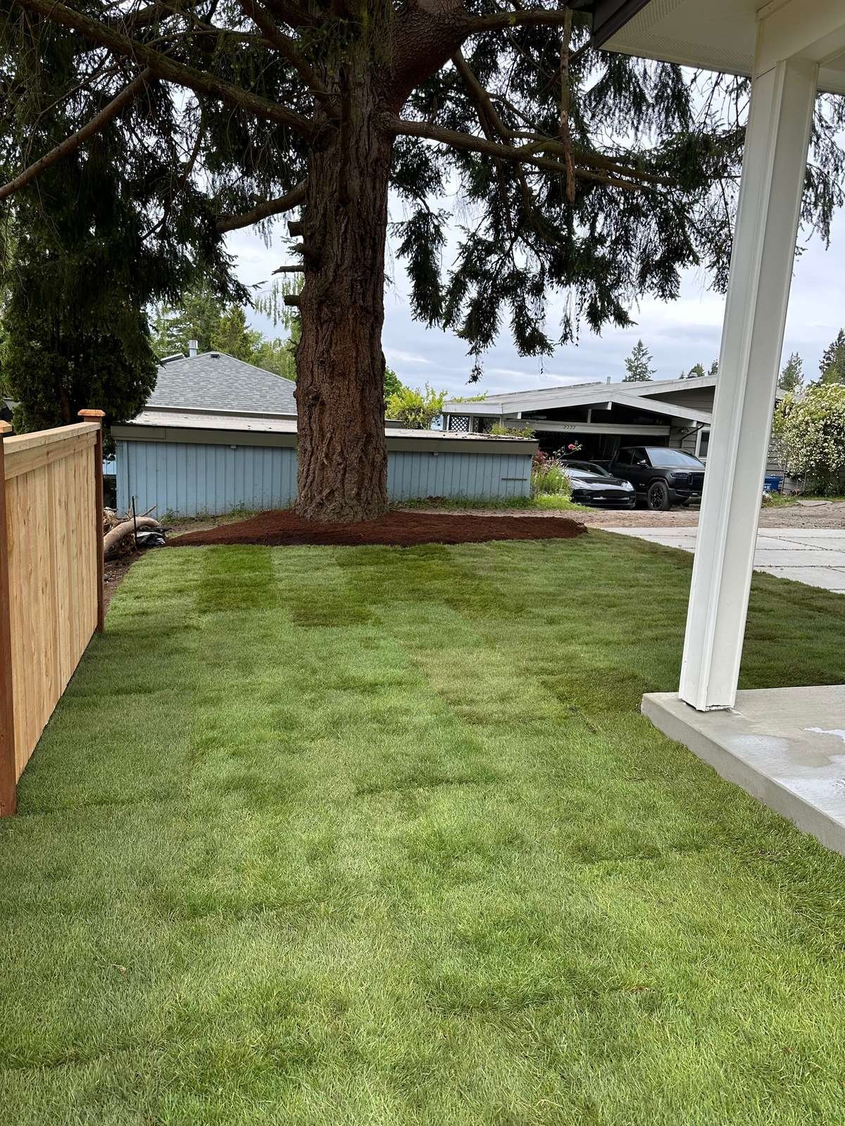 struver-new-sod-lawn-installation-seattle.jpg